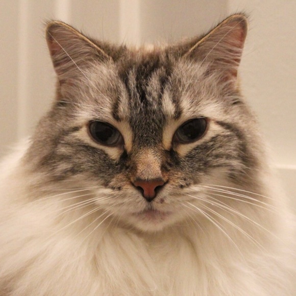 ♥️ - Picture 6 of 6